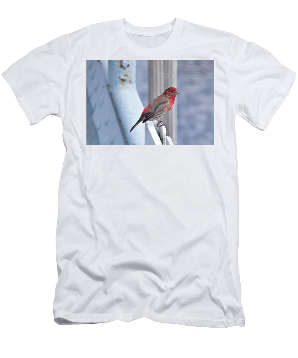 Finch T-Shirt featuring the photograph House Finch on the U.S.S. Wisconsin by Nicole Lloyd