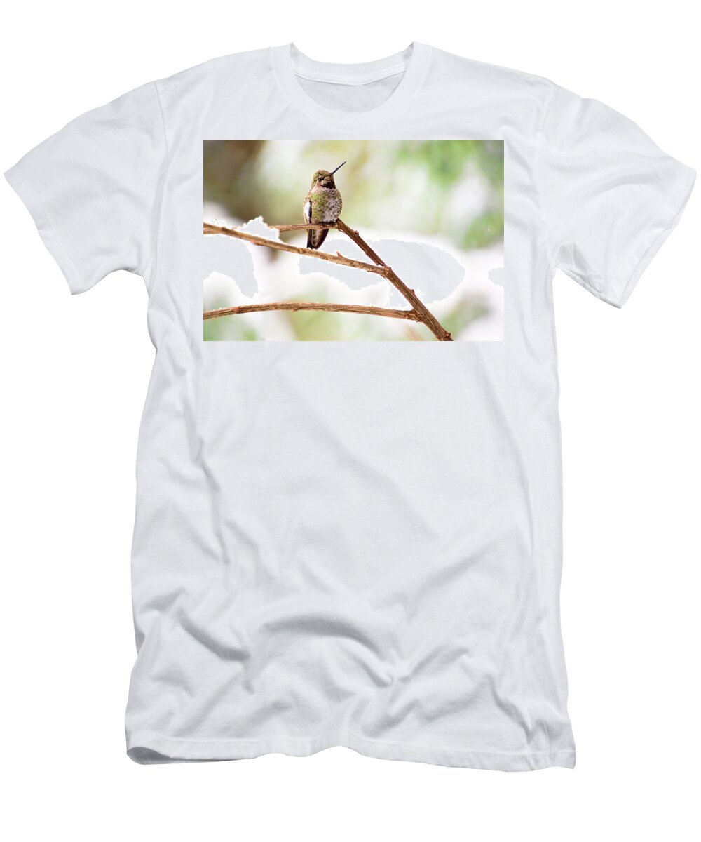 Annas Hummingbird T-Shirt featuring the photograph Hummingbird on Snowy Branch by Peggy Collins