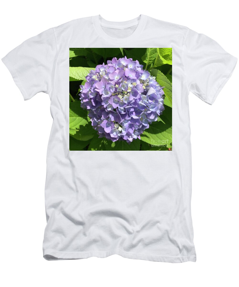 Hydrangea T-Shirt featuring the photograph Hydrangea 8 by Amy E Fraser