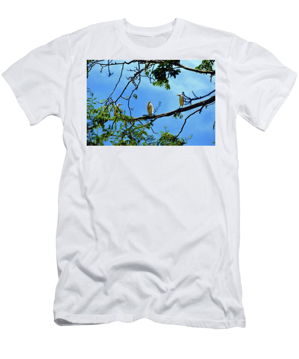 Bubulcus Ibis T-Shirt featuring the photograph Ibis Perch by Climate Change VI - Sales
