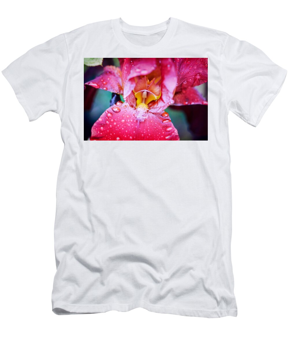Iris T-Shirt featuring the photograph Iris Burgandy After the Rain by Sherry Hallemeier