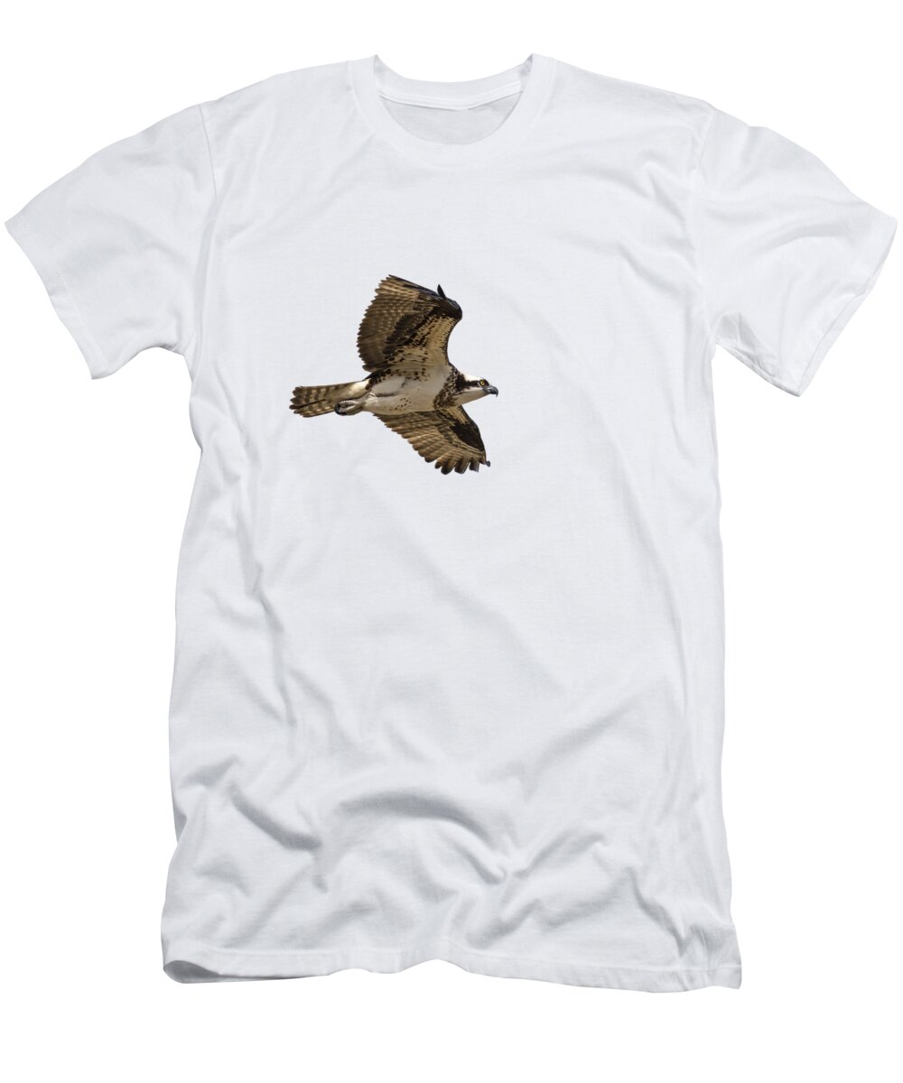 Osprey T-Shirt featuring the photograph Isolated Osprey 2019-1 by Thomas Young