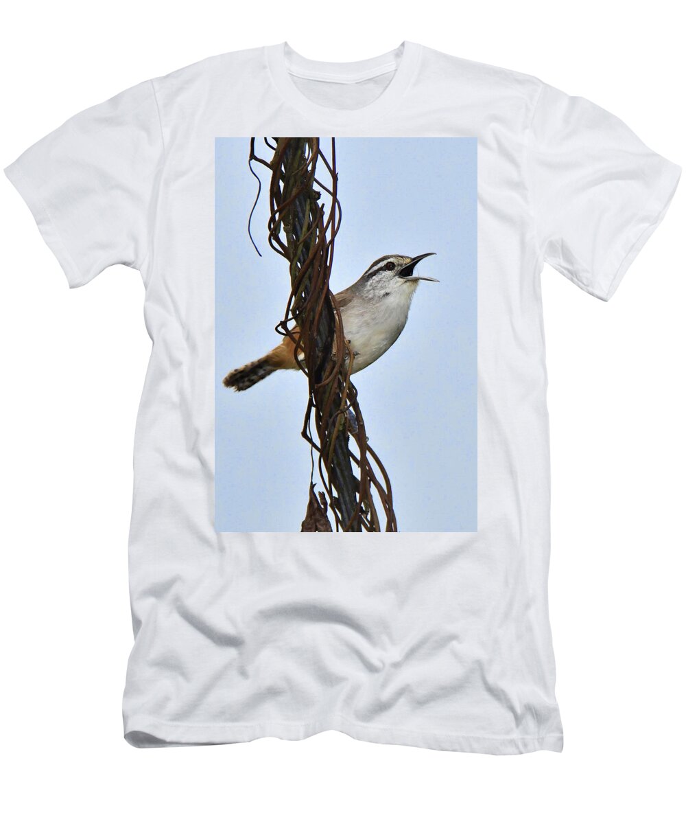 Panama Birds T-Shirt featuring the photograph Isthmian Wren by Alan Lenk