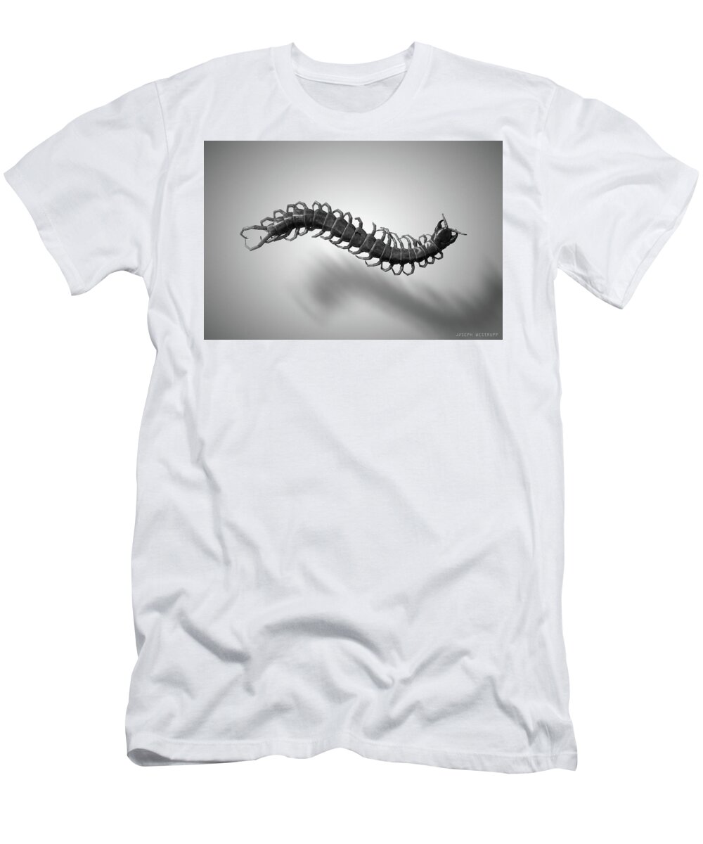 Centipede T-Shirt featuring the photograph Leg Storm by Joseph Westrupp