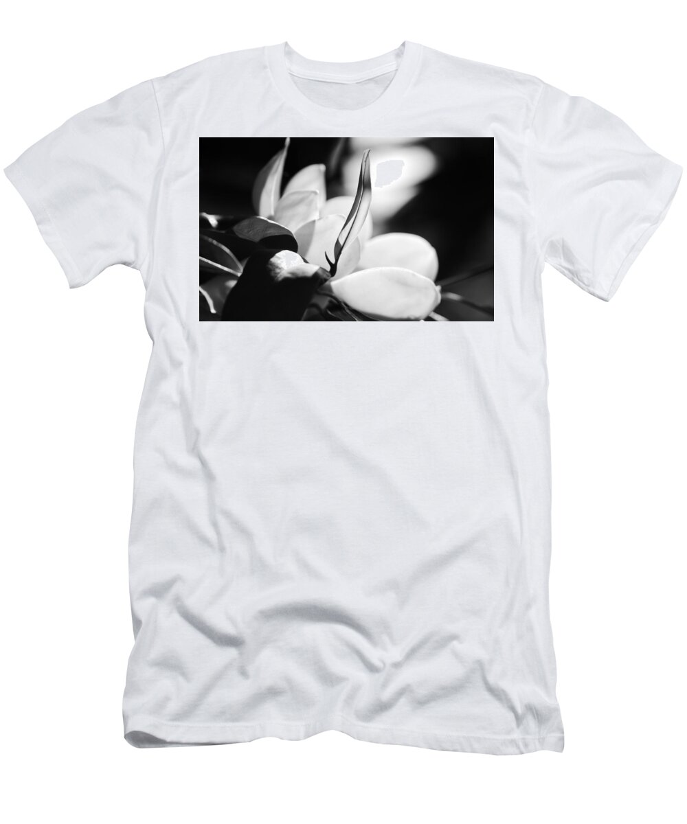 Jane Ford T-Shirt featuring the photograph Magnolia flower by Jane Ford