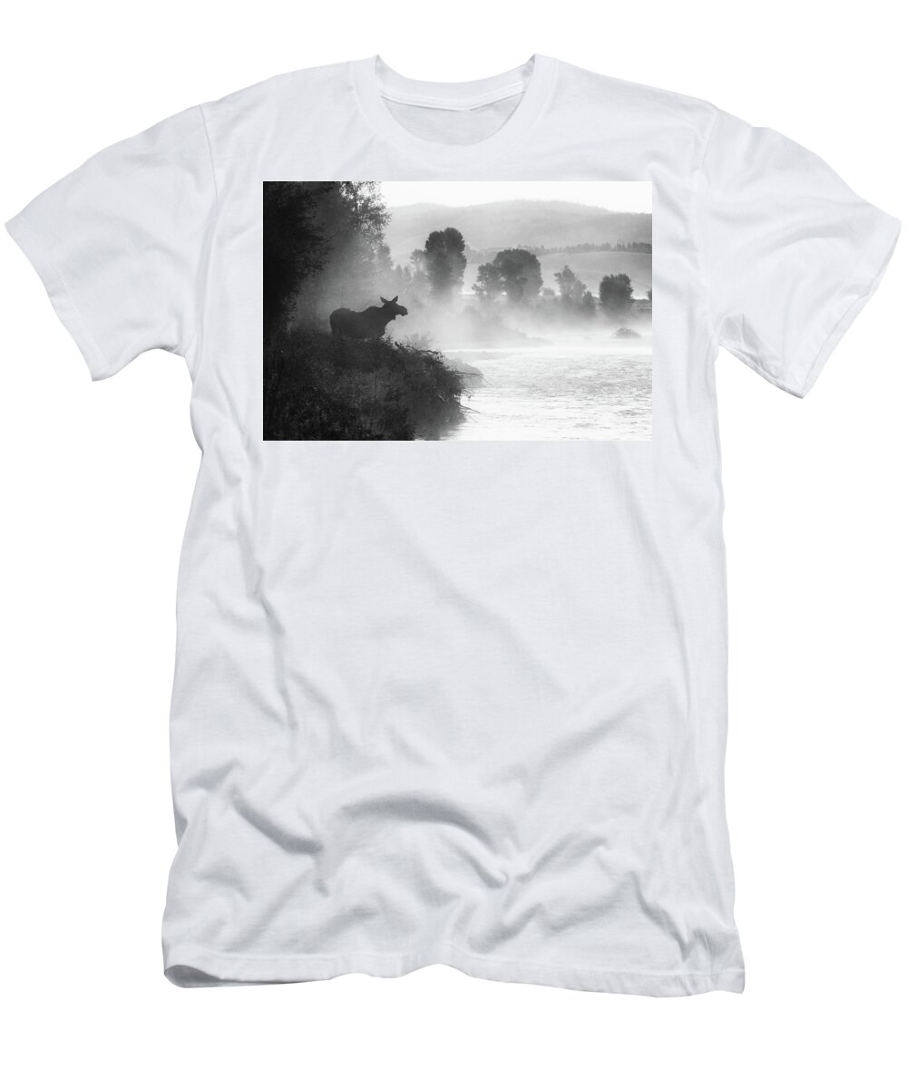 Moose T-Shirt featuring the photograph Misty Morning Moose by Mary Hone