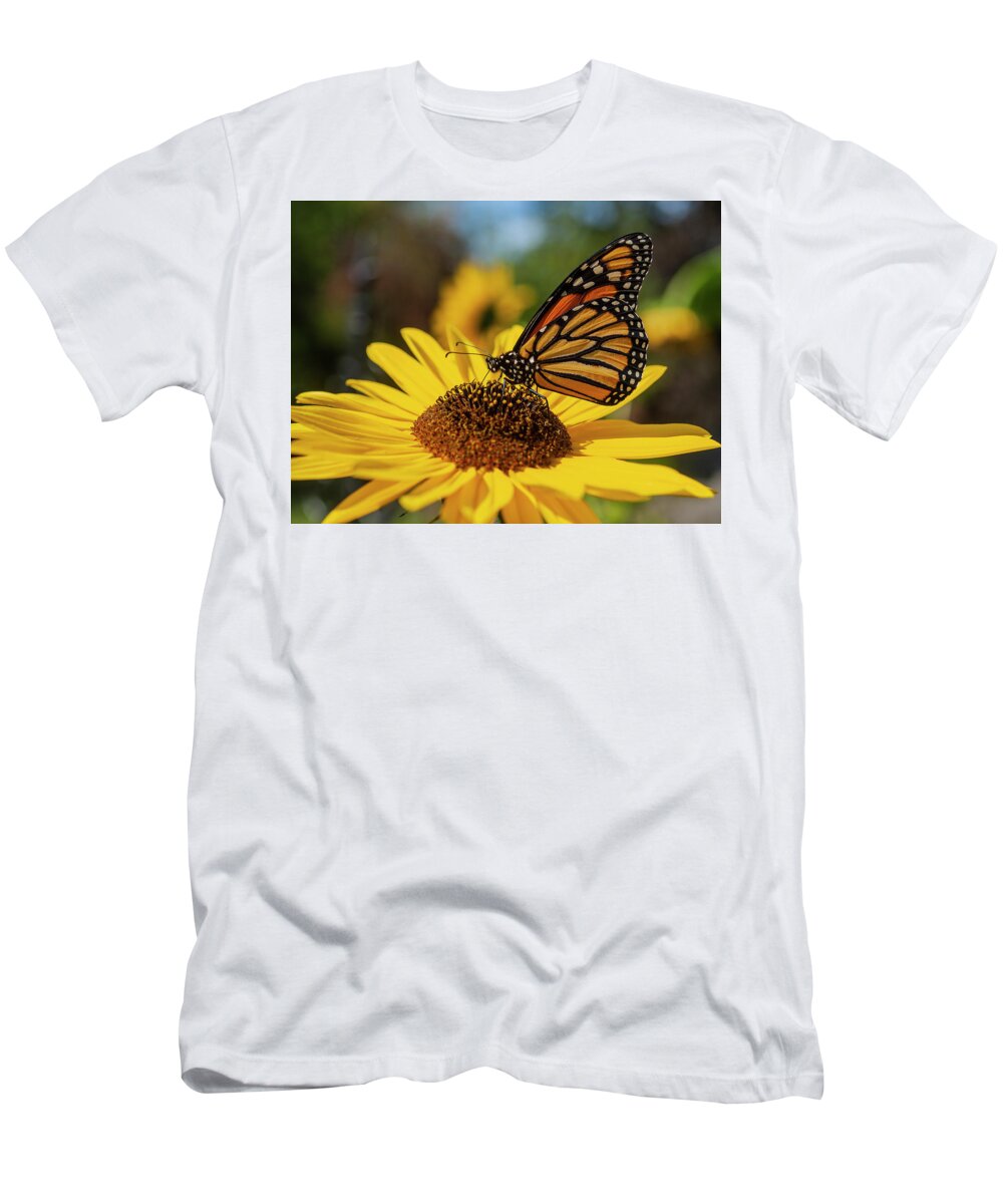 Monarch Butterfly T-Shirt featuring the photograph Monarch On Sunflower 2019 by Thomas Young