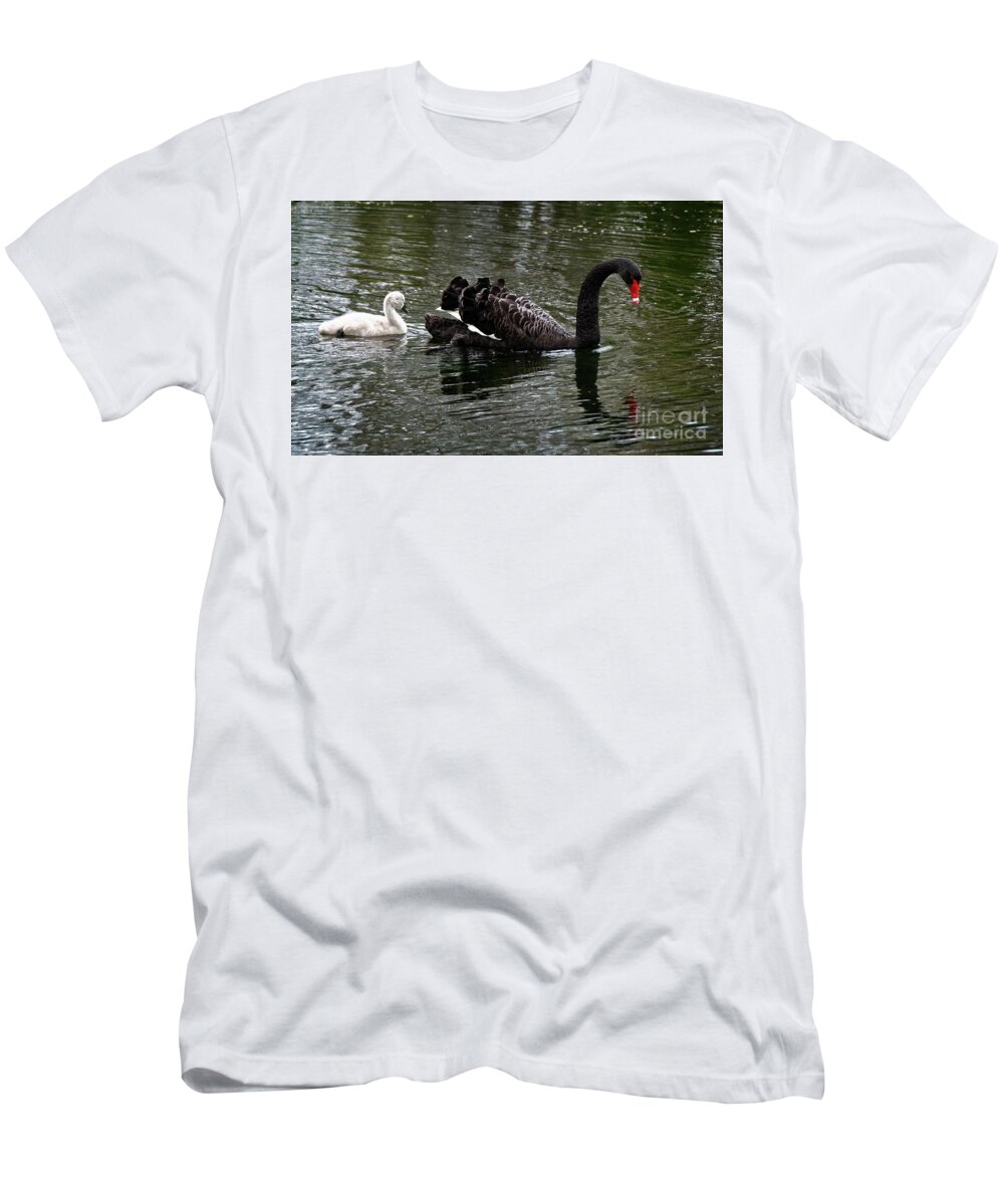 Swan T-Shirt featuring the photograph Mother and baby by Fran Woods