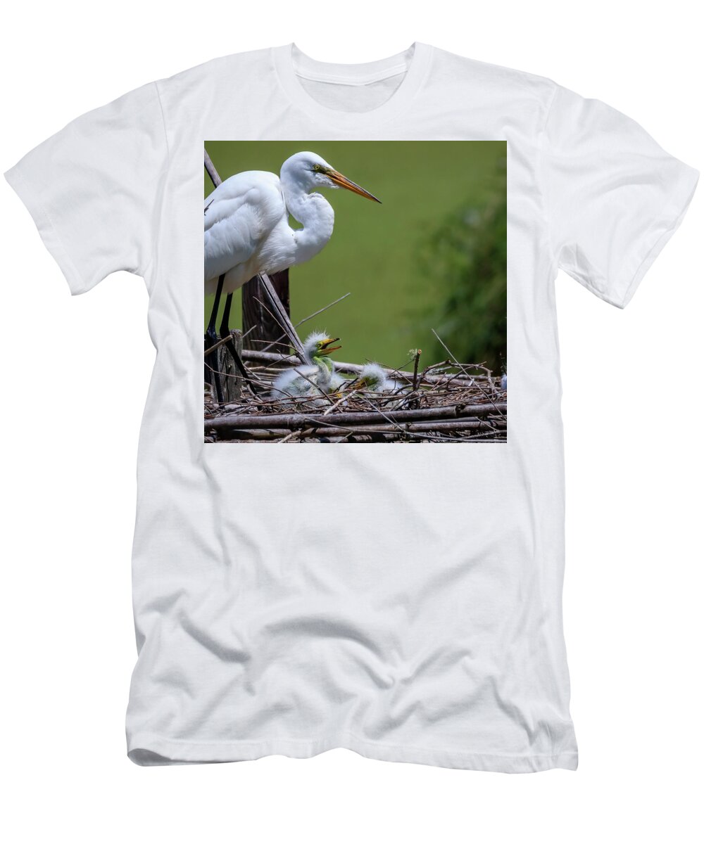 Heron T-Shirt featuring the photograph Mother's Day by JASawyer Imaging
