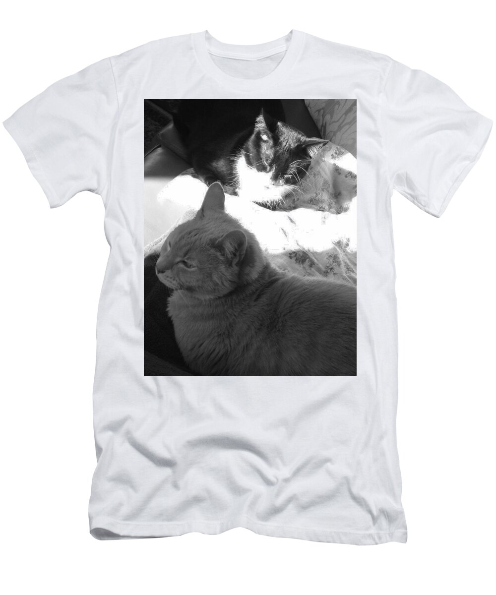 Photo Stream T-Shirt featuring the photograph Natural Light by Debra Grace Addison