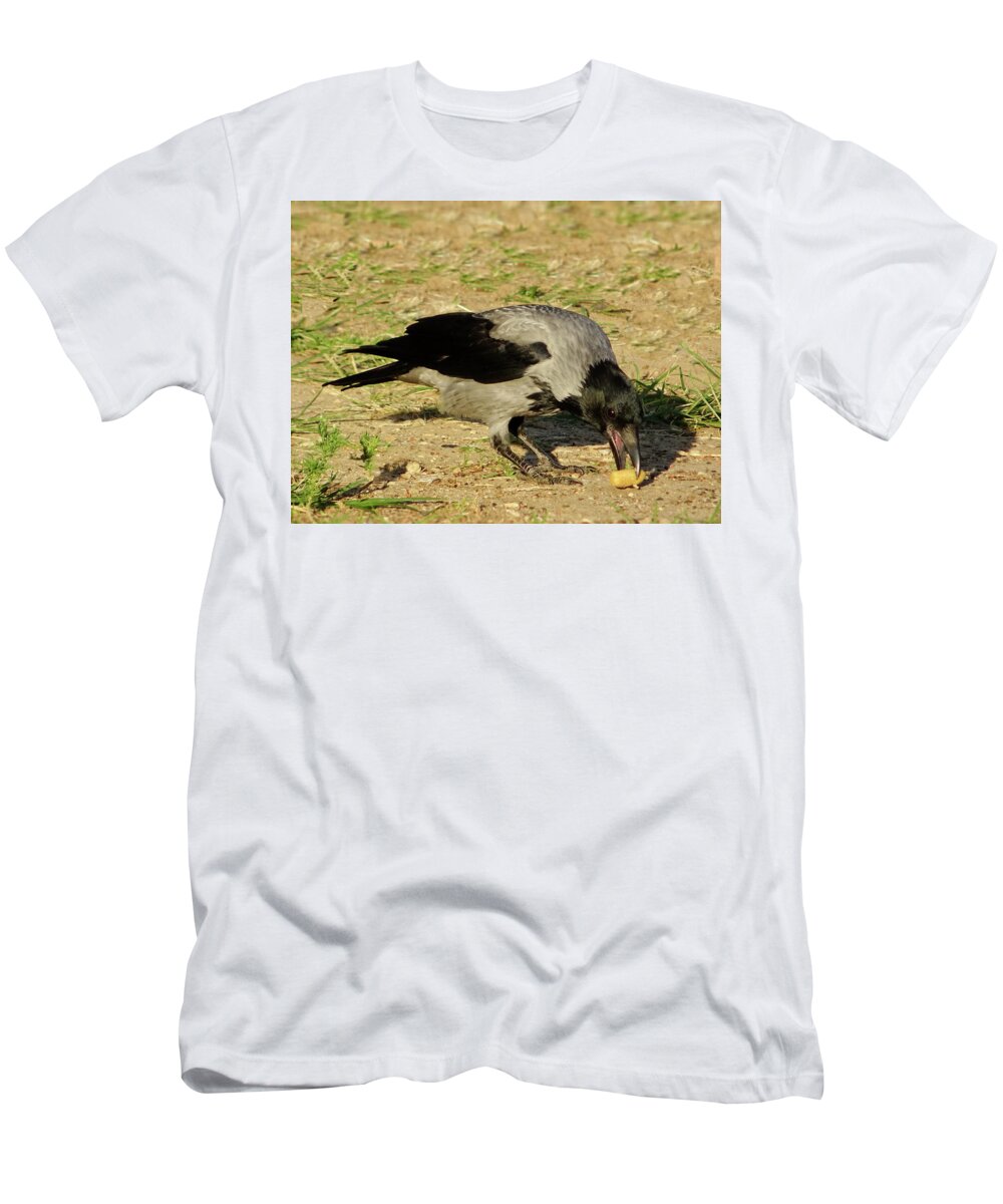 Hooded Crow T-Shirt featuring the photograph Omnivorous Hooded Crow by Lyuba Filatova