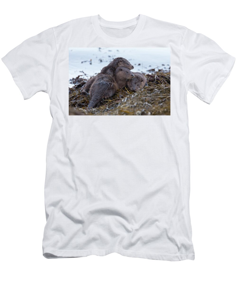 Otter T-Shirt featuring the photograph Otter Family Together by Pete Walkden