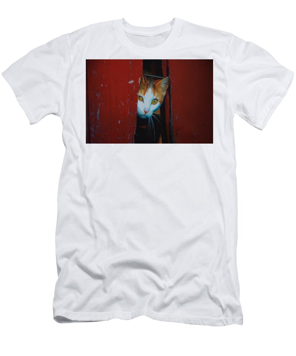 Cat T-Shirt featuring the photograph Peek A Boo Kitty by Marty Klar
