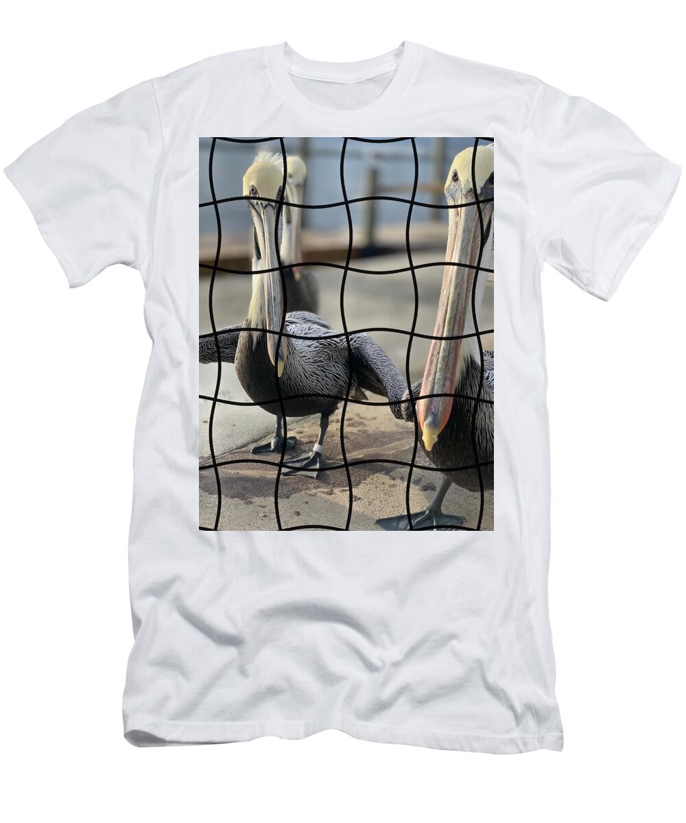 Pelican T-Shirt featuring the photograph Puzzled by Alison Belsan Horton