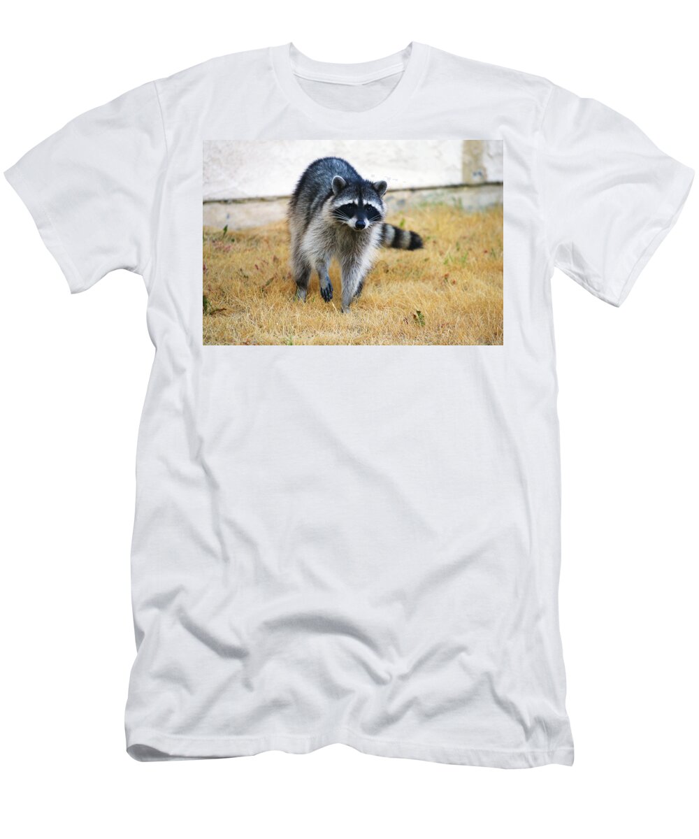 Racoon T-Shirt featuring the photograph Racoon by Anthony Jones