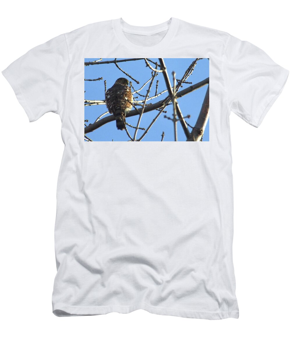 Sharp-shinned Hawk T-Shirt featuring the photograph Rapace by Asbed Iskedjian