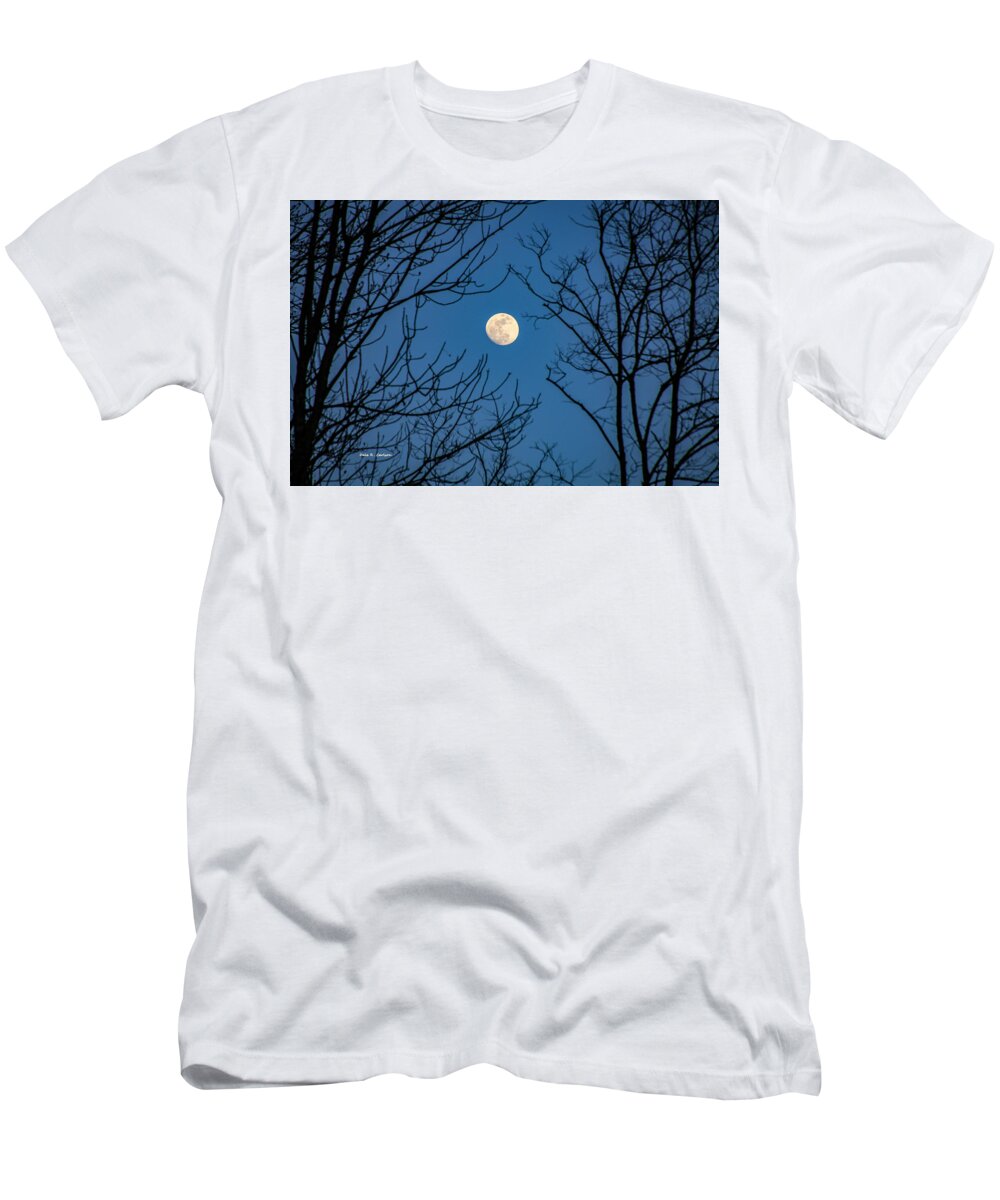 Moon T-Shirt featuring the photograph Reaching for the Moon by Dale R Carlson