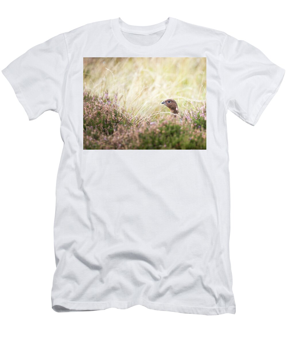Female Red Grouse T-Shirt featuring the photograph Red Grouse by Anita Nicholson