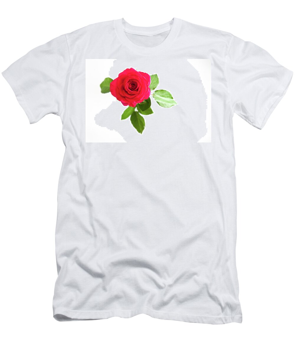 Red Rose T-Shirt featuring the photograph Red Rose White Background by Helen Jackson