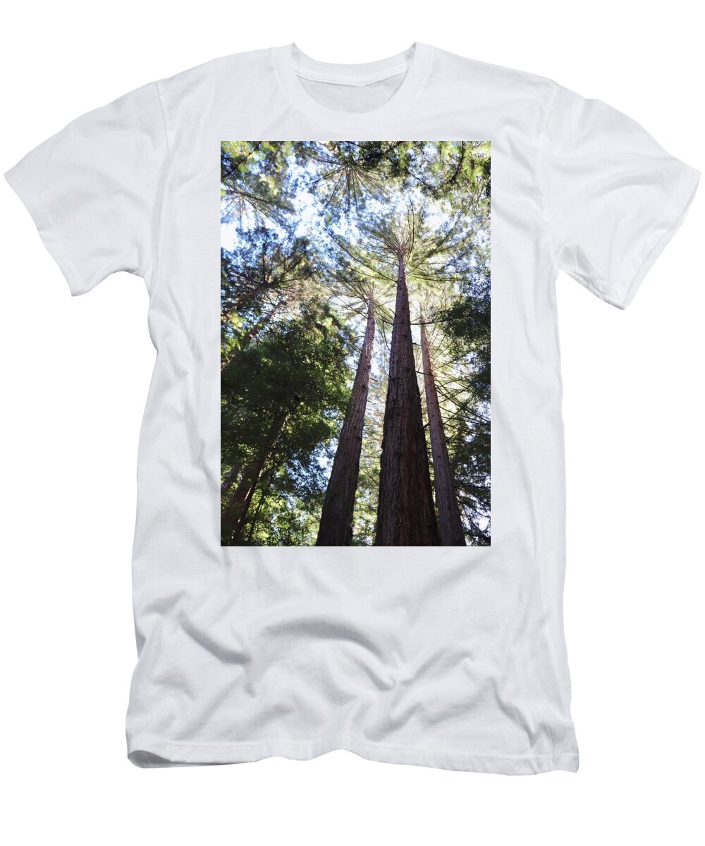 Redwoods T-Shirt featuring the photograph California Redwoods by Sarah Lilja