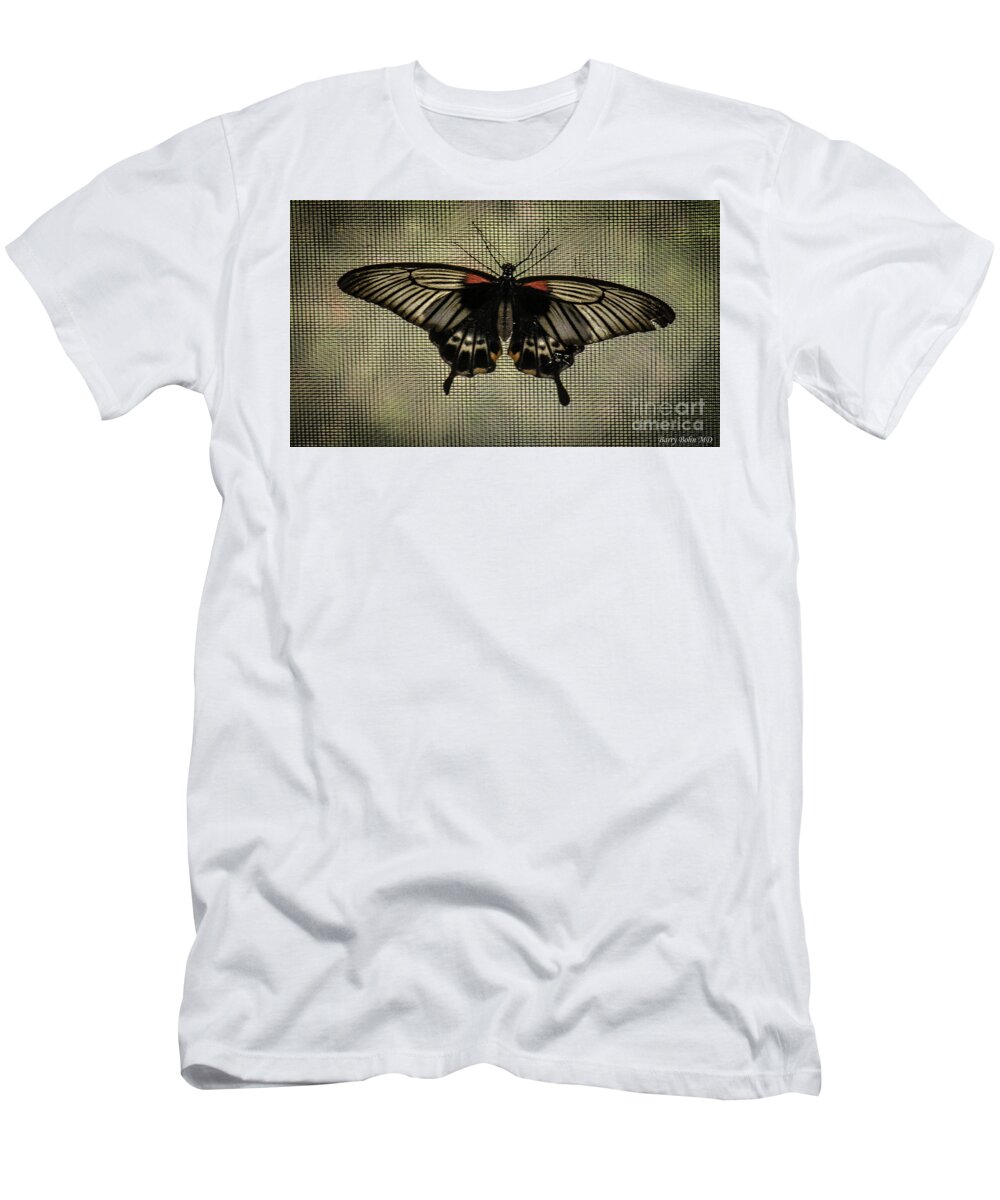 Butterfly T-Shirt featuring the photograph Resting on screen by Barry Bohn