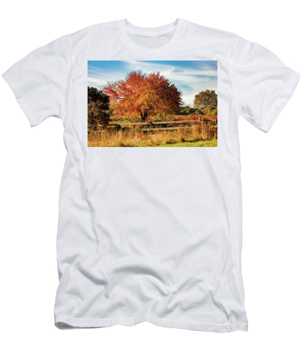 Rhode Island Fall Foliage T-Shirt featuring the photograph Rhode Island Audubon in Fall Colors by Jeff Folger