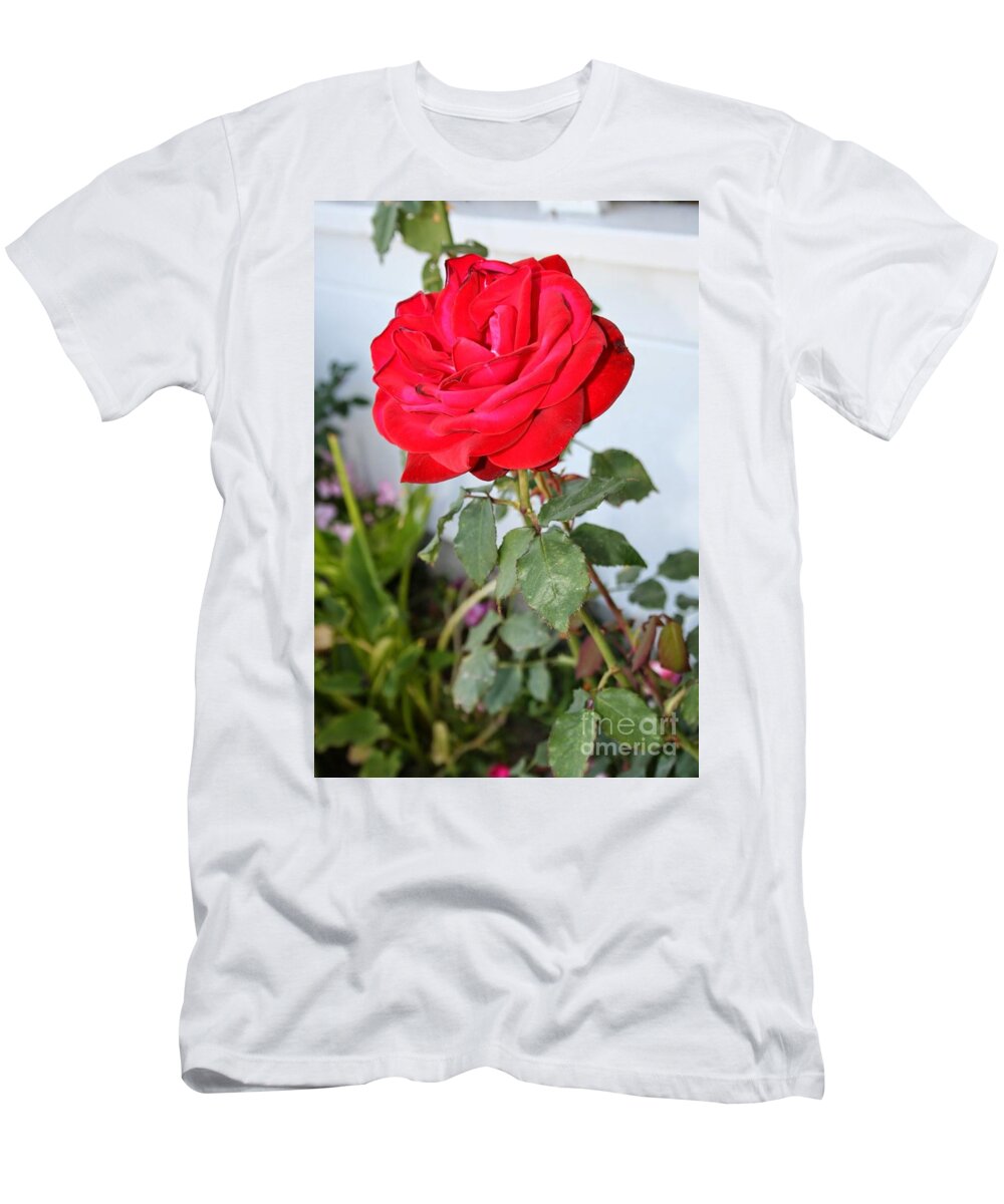 ruby red t shirts
