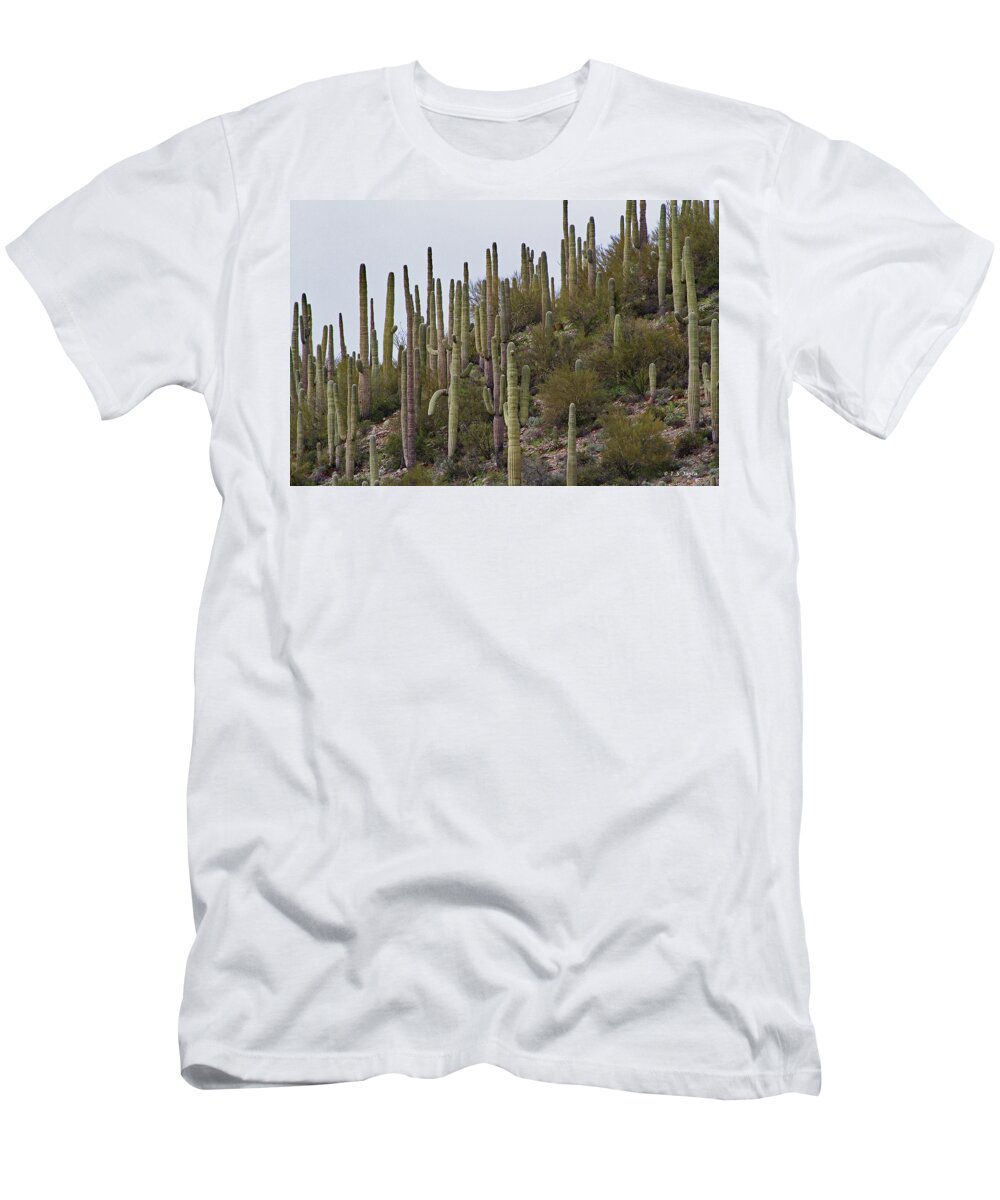 Saguaro Hill In The Superstitions T-Shirt featuring the digital art Saguaro Hill In The Superstitions by Tom Janca