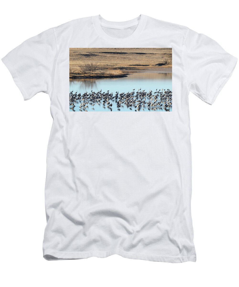Richard E. Porter T-Shirt featuring the photograph Sandhill Cranes - Muleshoe Wildlife Refuge, Texas by Richard Porter