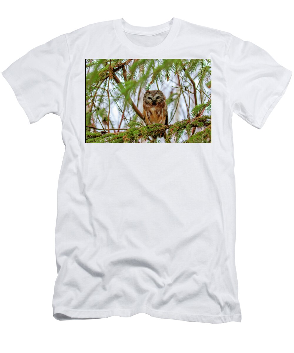 Northern T-Shirt featuring the photograph Saw-whet Owl by Gary Hall