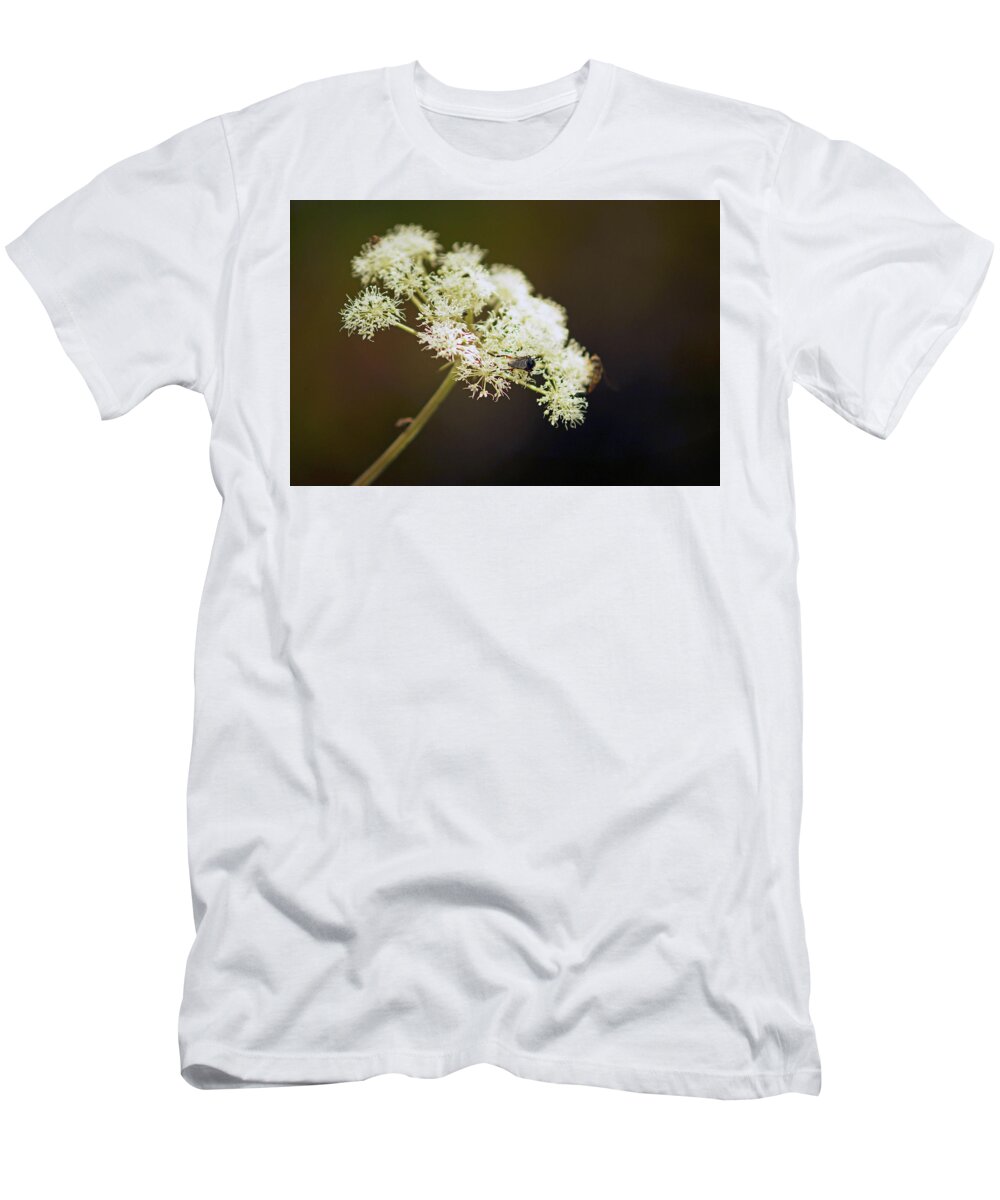 Scotland T-Shirt featuring the photograph SCOTLAND. Loch Rannoch. White Flowerhead. by Lachlan Main