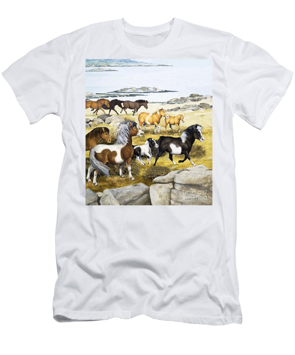 Landscape T-Shirt featuring the painting Shetland Ponies by Arthur Oxenham