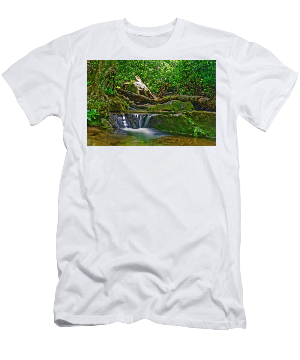 Blue Ridge Parkway T-Shirt featuring the photograph Sims Creek Waterfall by Meta Gatschenberger