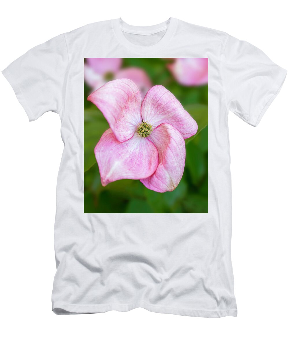 Pink T-Shirt featuring the photograph Single Pink Dogwood Blossom by TL Wilson Photography by Teresa Wilson