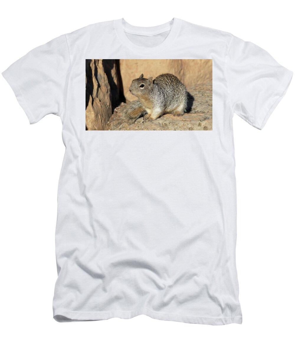 Usa T-Shirt featuring the pyrography Squirrel by Magnus Haellquist