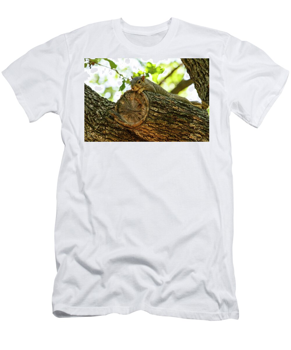 Squirrel T-Shirt featuring the photograph Squirrel with a view by Jason Hughes
