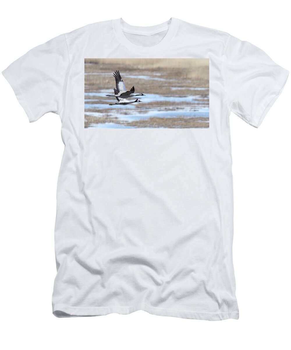 Grus Grus T-Shirt featuring the photograph Stay close my love. Eurasian crane by Jouko Lehto