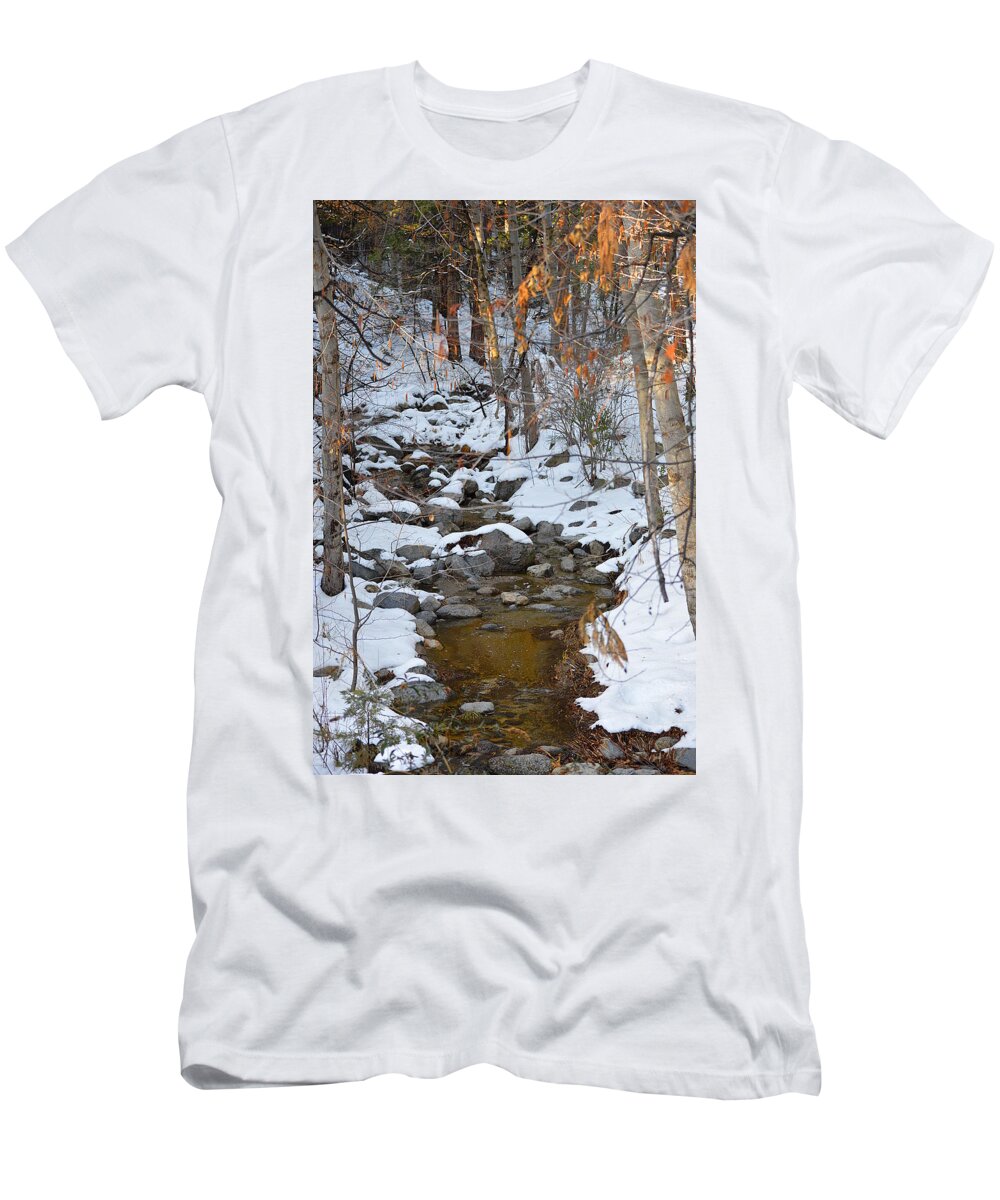 Idyllwild T-Shirt featuring the photograph Strawberry Creek In Winter - Idyllwild by Glenn McCarthy Art and Photography