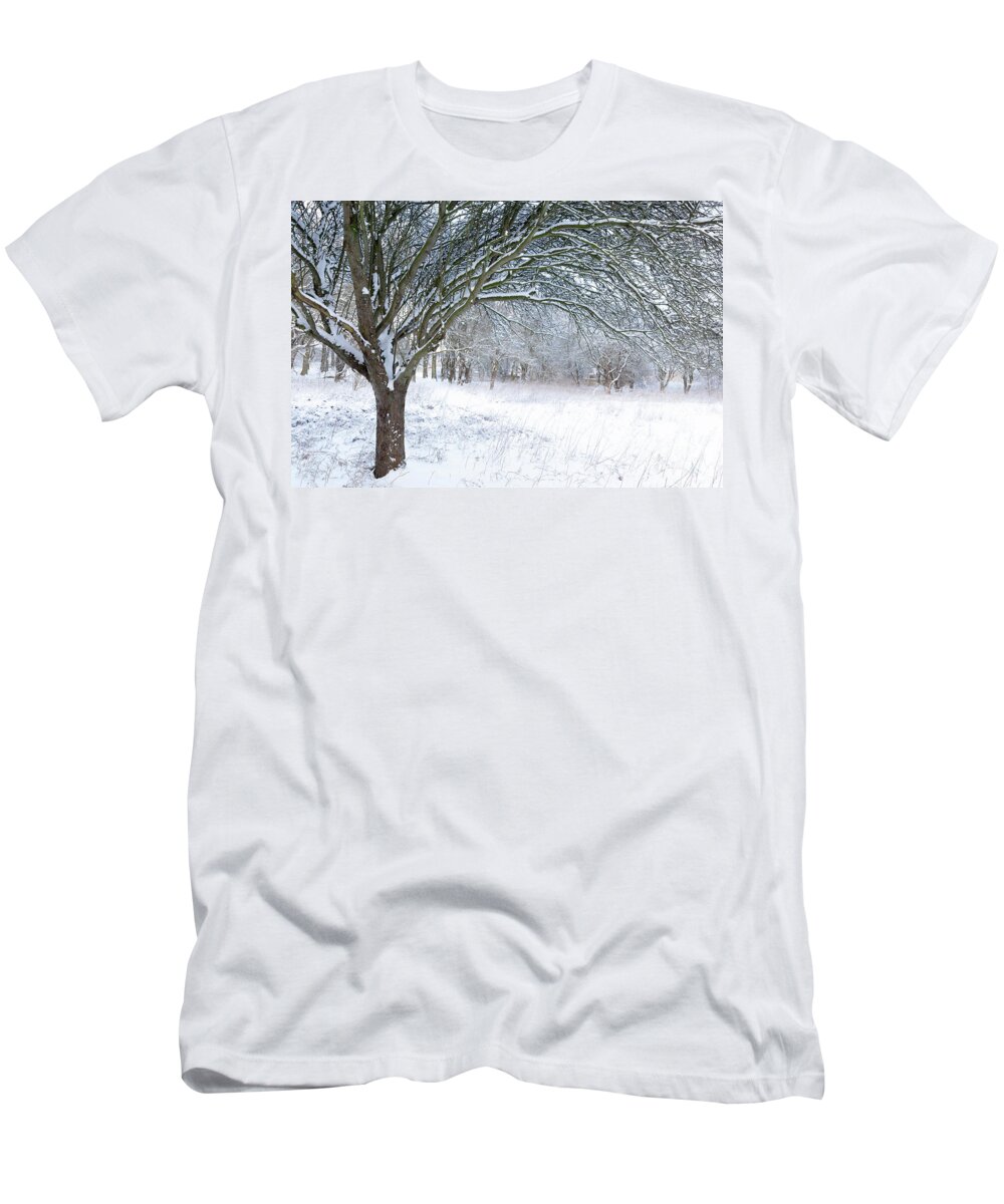 Norfolk T-Shirt featuring the photograph Stunning forest snow winter scene by Simon Bratt