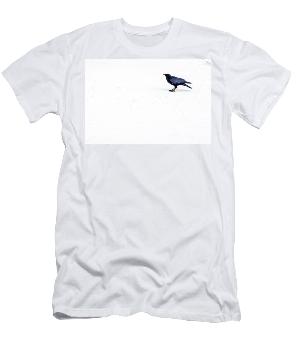 Crow T-Shirt featuring the photograph The Crow 1 by Al Hurley