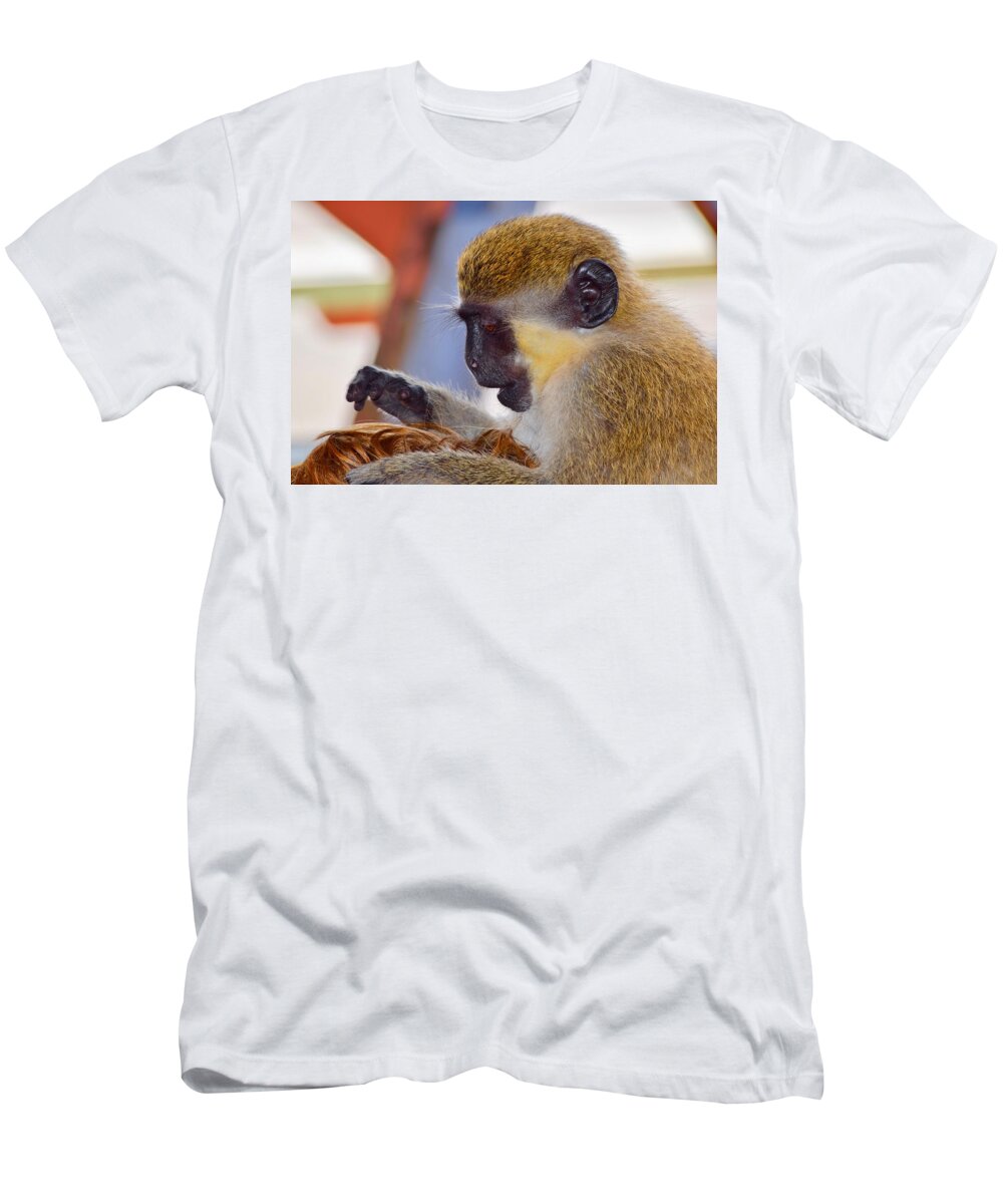 Grooming Monkey T-Shirt featuring the photograph The Grooming Monkey by Debra Grace Addison