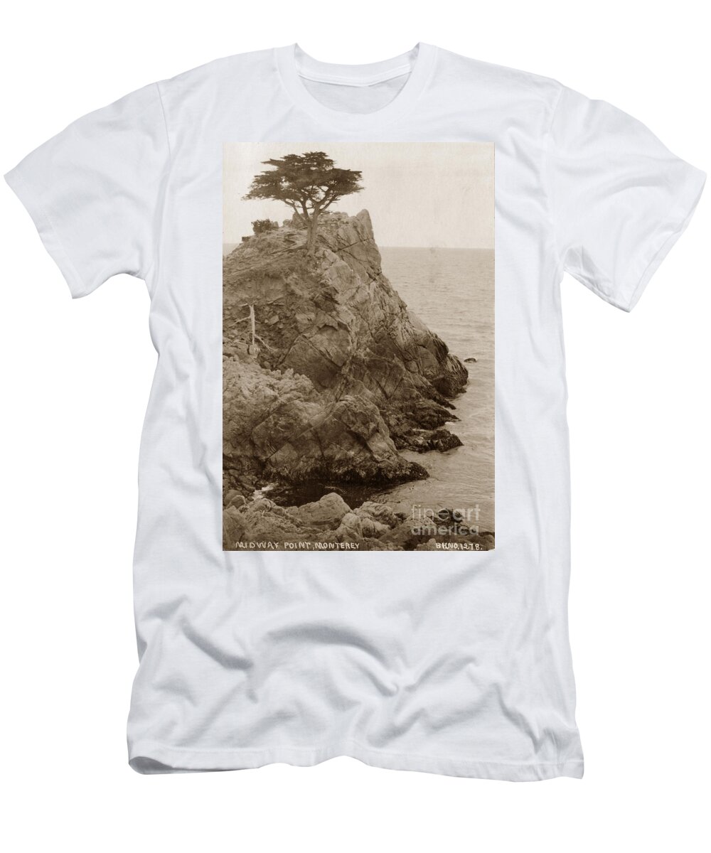 Lone Cypress T-Shirt featuring the photograph The Lone Cypress Tree on Midway Point circa 1920 by Monterey County Historical Society