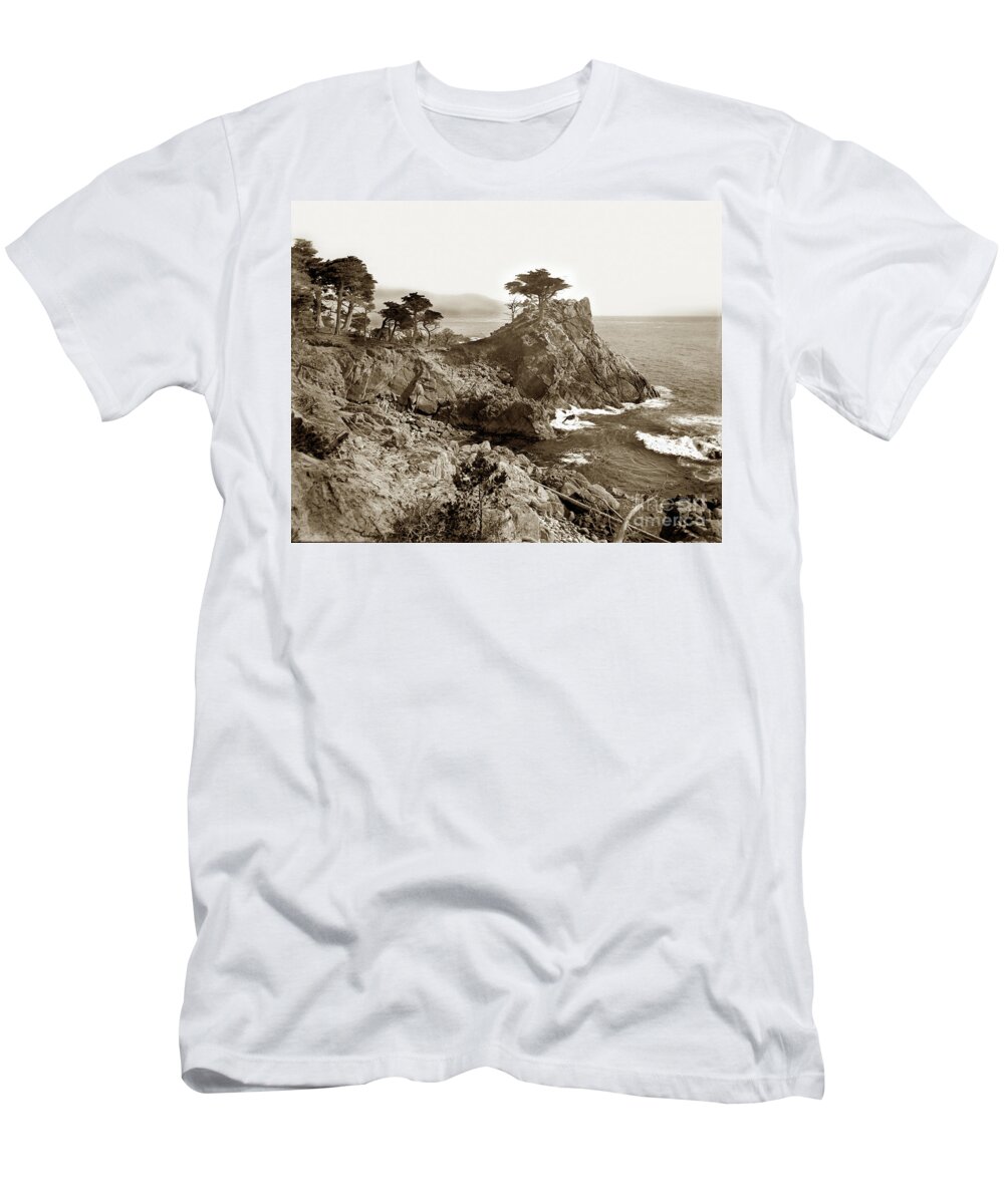 Lone Cypress T-Shirt featuring the photograph The Lone Cypress tree on Midway Point on the 17 Mile Drive, Pebble Beach 1890 by Monterey County Historical Society