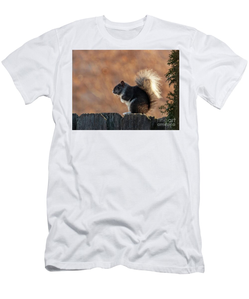 Squirrel T-Shirt featuring the photograph The Squirrel with the White Tail by Sandra J's