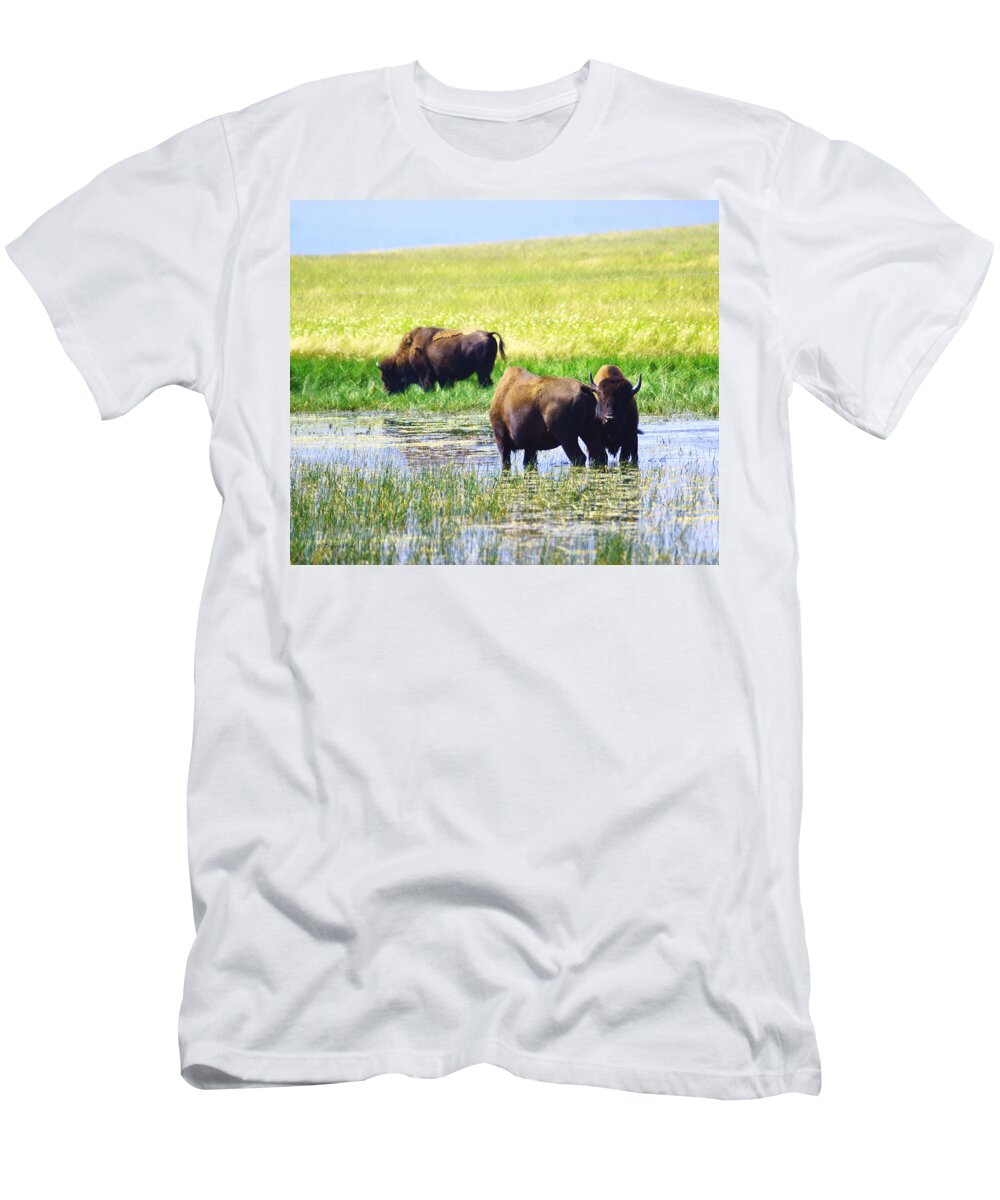 Bison T-Shirt featuring the photograph Three Amigos by Tracey Vivar