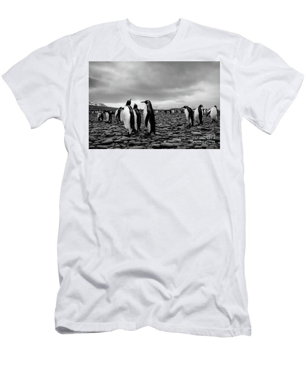 Salisbury Plain T-Shirt featuring the photograph Threesome by Patti Schulze