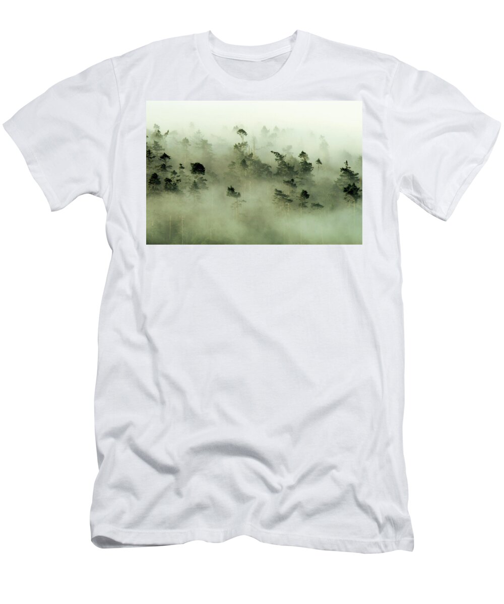 Fog T-Shirt featuring the photograph Trees peeking through the fog at sunrise by Leslie Struxness