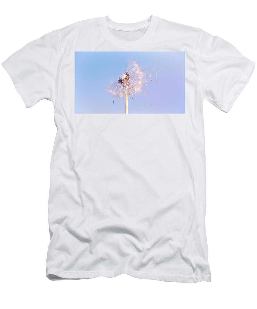 Dandelion T-Shirt featuring the photograph Under The Blue Sky by Jaroslav Buna