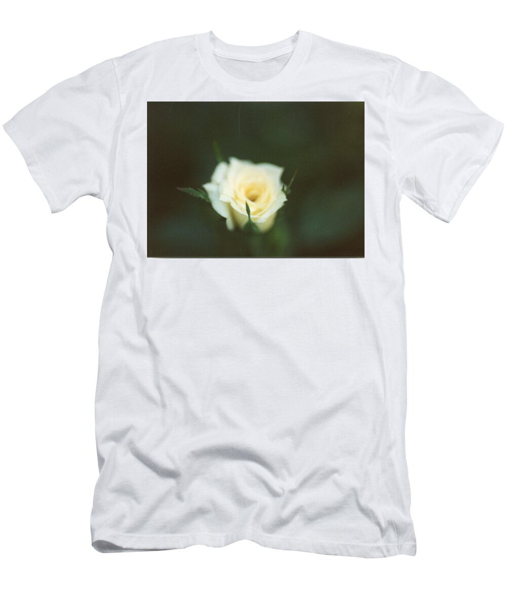 Flower T-Shirt featuring the painting Vintage Photo of Flowers and Garden 1970s - 1980s - 018 by Celestial Images