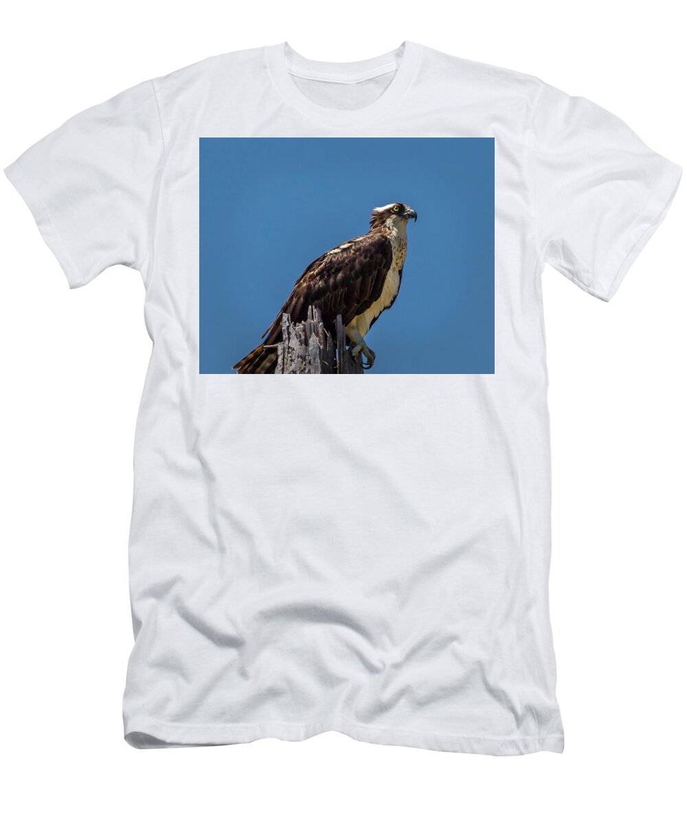 Caretta T-Shirt featuring the photograph Watchful Eye by Ray Silva